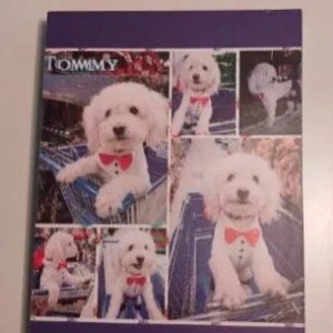 Retablo imagen de tu mascota